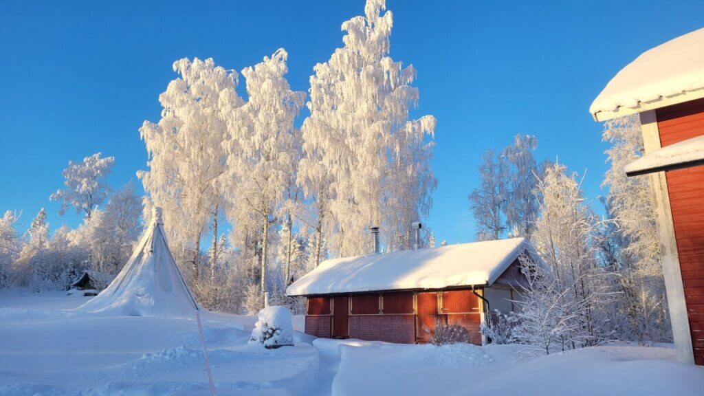 Sneeuw zon en blauwe lucht. Snow Sun and blue skuy