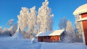Sneeuw zon en blauwe lucht. Snow Sun and blue skuy